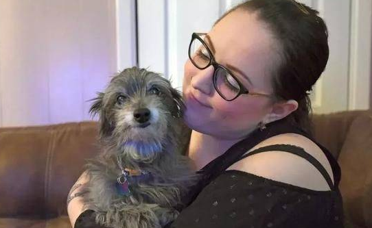 爱犬被父亲强行送走，7年后再领养老狗，芯片信息让人泪目了 
