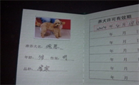 什么情况下会查狗证