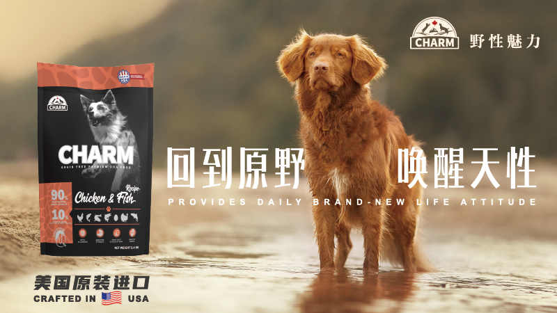野性魅力charm狗粮怎么样 野性魅力charm狗粮怎么样