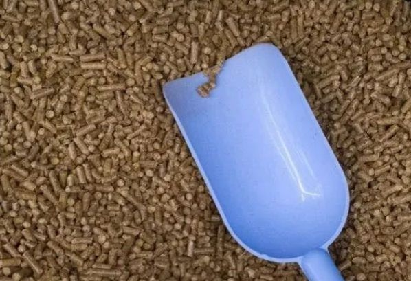 30克猫粮，你可知是多少？——打开猫咪的饮食之谜
