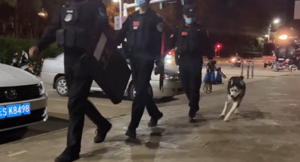 二哈被训练成警犬，为了不上班它离家出走，找到时被村民拴在山里