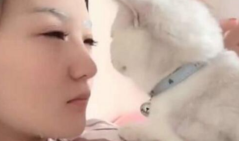 主人敷面膜猫主子狂蹭,猫咪:本喵也是需要保养的 主人敷面膜猫主子狂蹭,猫咪:本喵也是需要保养的