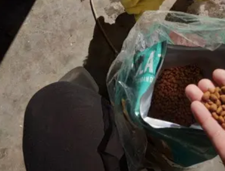 万兵狗粮:品质与价值的完美融合 万兵狗粮:品质与价值的完美融合