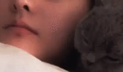 主人起床一看猫不见,回到卧室一看,满满的醋意 主人起床一看猫不见,回到卧室一看,满满的醋意