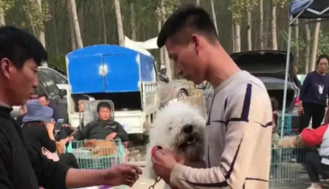 即便狗狗抱着主人不放,为了钱主人还是坚持卖掉它,网友:真狠心 即便狗狗抱着主人不放,为了钱主人还是坚持卖掉它,网友:真狠心