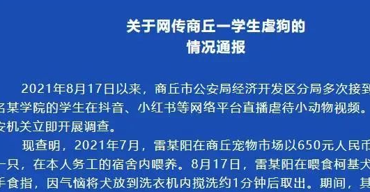 洗衣机小柯基找到了!但处理结果…… 洗衣机小柯基找到了!但处理结果……