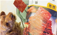 小狗可以吃猪肉脯吗