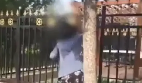 “让长春疾控中心弄死你”,大妈用砖砸流浪猫狗,市民劝阻被回怼 “让长春疾控中心弄死你”,大妈用砖砸流浪猫狗,市民劝阻被回怼