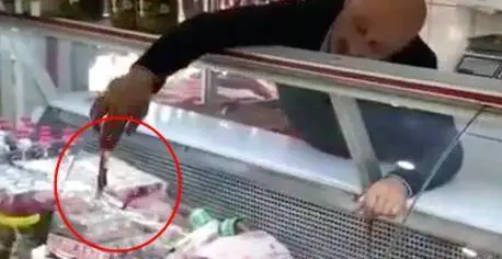 流浪猫饥饿难耐，闯入肉铺讨吃，没想到老板的反应令人赞叹
