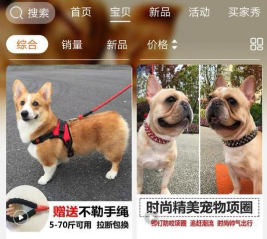 两泰迪斗德牧一死一伤,狗主进群求安慰被怼:不牵狗绳,活该 两泰迪斗德牧一死一伤,狗主进群求安慰被怼:不牵狗绳,活该