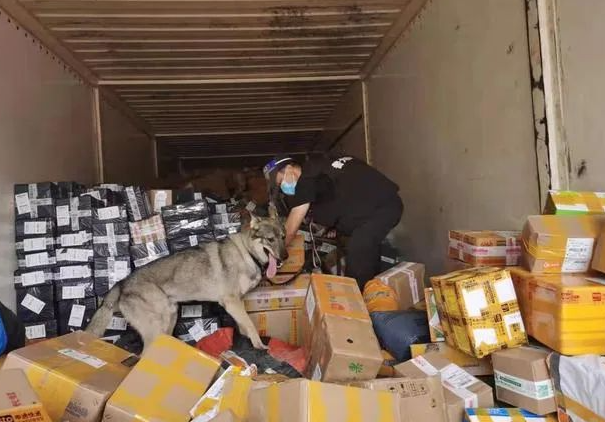 冲上热搜!这只“网红”警犬,又立大功 冲上热搜!这只“网红”警犬,又立大功