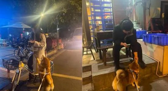 外送员停车就是一阵撸狗,社牛柴犬爽到躺下,奴才笑像渣狗! 外送员停车就是一阵撸狗,社牛柴犬爽到躺下,奴才笑像渣狗!