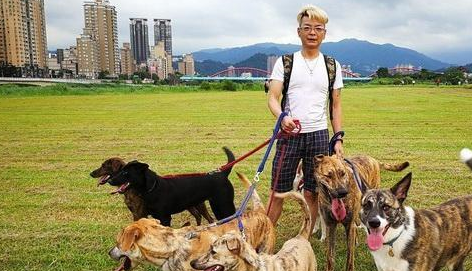 主人一次遛9只狗狗,说走就走说停就停,手上挂满了牵引绳 主人一次遛9只狗狗,说走就走说停就停,手上挂满了牵引绳