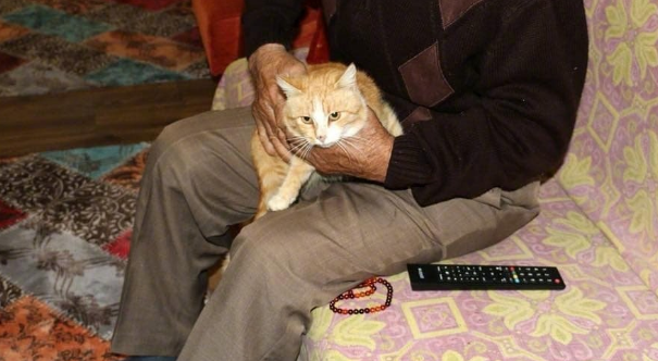 大爷从火中只救出了小猫,带它搬到新家生活,相依为伴 大爷从火中只救出了小猫,带它搬到新家生活,相依为伴