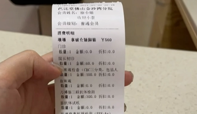 花7500元买了只矮脚猫，回家后发现它耳聋