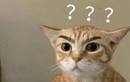 网友翻柜子时,竟翻出一大窝陌生的猫咪,问题是:我没养猫啊 网友翻柜子时,竟翻出一大窝陌生的猫咪,问题是:我没养猫啊