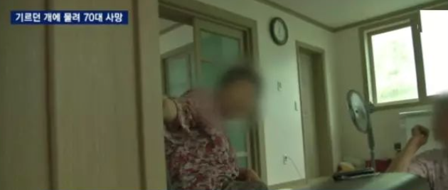 78岁老奶奶，被家养丰山狗咬断喉咙，导致死亡... ...