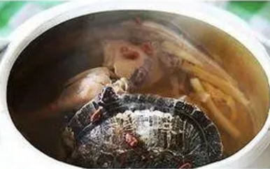 鹰嘴龟的吃法与做法 鹰嘴龟的吃法与做法