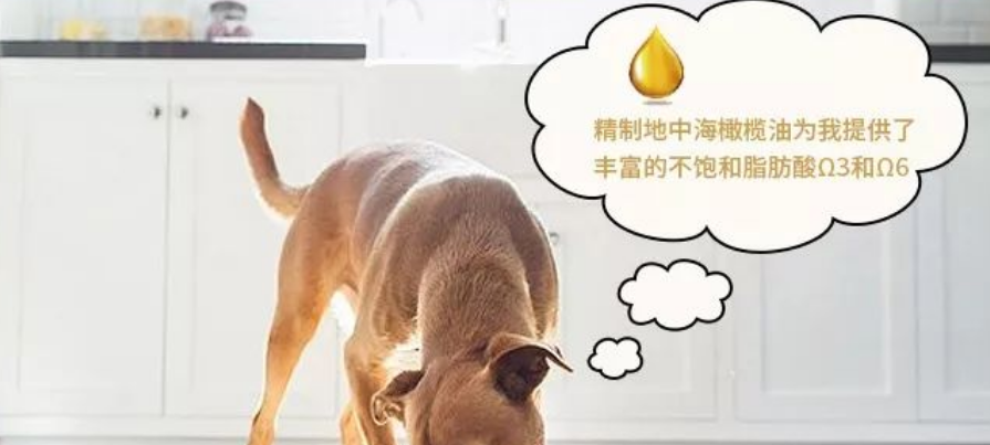 实力派 | 优基——优于甄选,始于之基 实力派 | 优基——优于甄选,始于之基