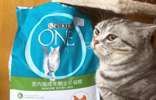 ONE猫粮，猫粮市场的“搅局者” 