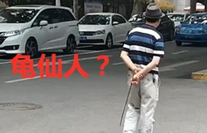老爷爷散步的宠物引起人群观看和拍照,先生,一年内不准散步? 老爷爷散步的宠物引起人群观看和拍照,先生,一年内不准散步?
