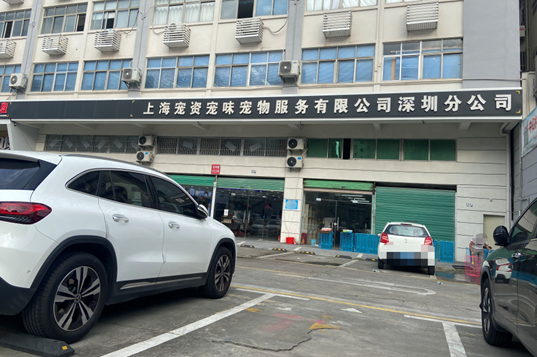 宠物狗买回家一周就病死?深圳这家宠物店被立案调查 宠物狗买回家一周就病死?深圳这家宠物店被立案调查