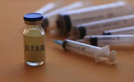 狗狂犬疫苗多少钱