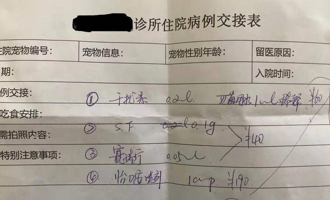 收费差异大、误诊维权难,给宠物看病的市民如何避坑、维权?