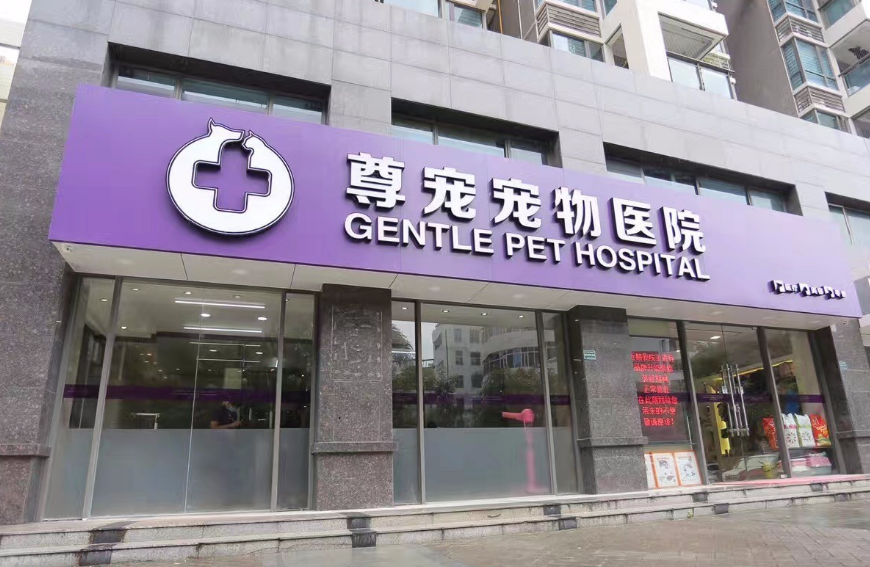 尊宠宠物医院怎么样
