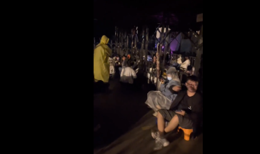 凌晨两点开始排队,年轻人怎么爱上了动物园? 凌晨两点开始排队,年轻人怎么爱上了动物园?