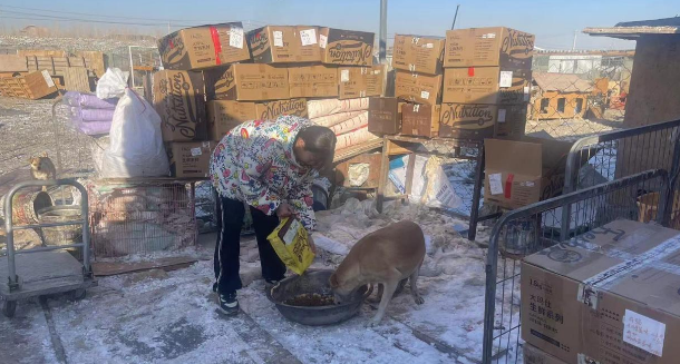 共渡难关，人宠安然丨大玛仕紧急驰援甘肃受灾流浪小动物基地