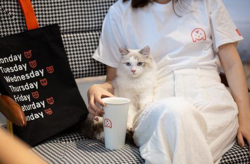 宠物服务与商品零售平台「宠物家Pet'em」完成亿元新一轮融资