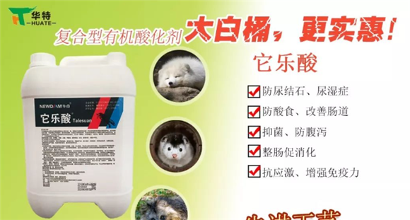 夏天到了,华特三分钟教您预防仔貂结石 夏天到了,华特三分钟教您预防仔貂结石