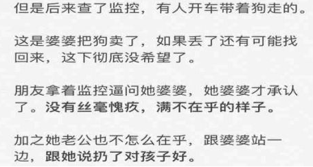 回顾女子养了7年的狗被婆婆扔了,女子转头打掉了怀孕3个月的孩子 回顾女子养了7年的狗被婆婆扔了,女子转头打掉了怀孕3个月的孩子