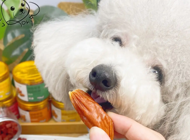 狗能吃猪肉脯零食吗
