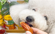 狗能吃猪肉脯零食吗