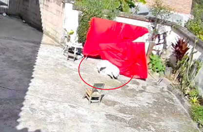 狗狗晒太阳意外被床单盖住,它竟没有挣扎,在里面睡了2个小时! 狗狗晒太阳意外被床单盖住,它竟没有挣扎,在里面睡了2个小时!