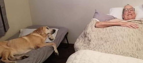 狗狗去了天堂,谁想才刚过1个小时,主人也跟着离开 狗狗去了天堂,谁想才刚过1个小时,主人也跟着离开