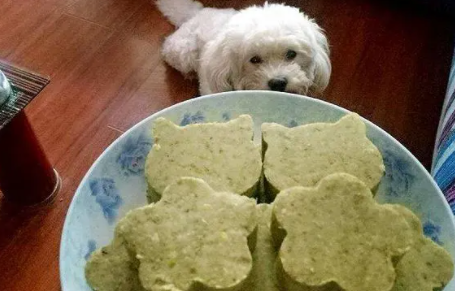 狗能吃绿豆糕吗 狗能吃绿豆糕吗