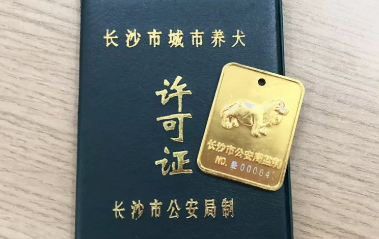 狗证怎么办理每年交多少钱