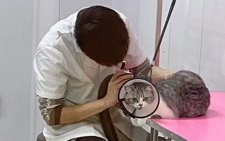 唯它宠物医院联系电话