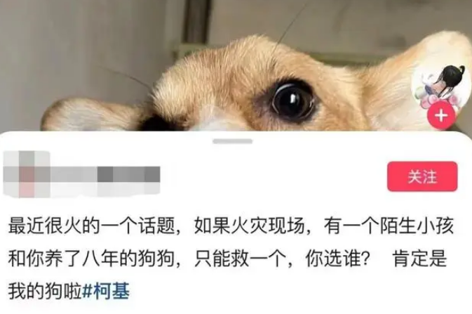 火场中救人or救狗?网友吵翻天!专家这样分析