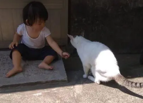 小主人怕猫咪孤单，躺在地上和猫咪一起看星星，画面太有爱
