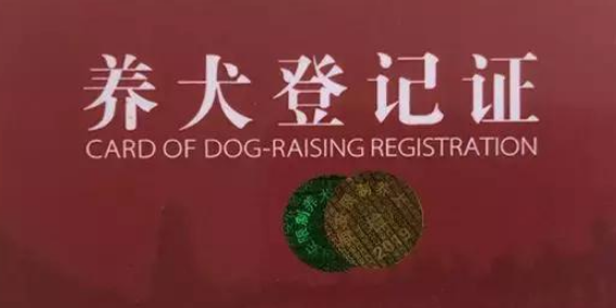 没有狗证在家里养都不行吗 没有狗证在家里养都不行吗