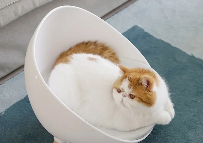 麻薯猫窝好不好