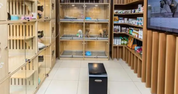 蜗牛小店宠物可以买吗 蜗牛小店宠物可以买吗