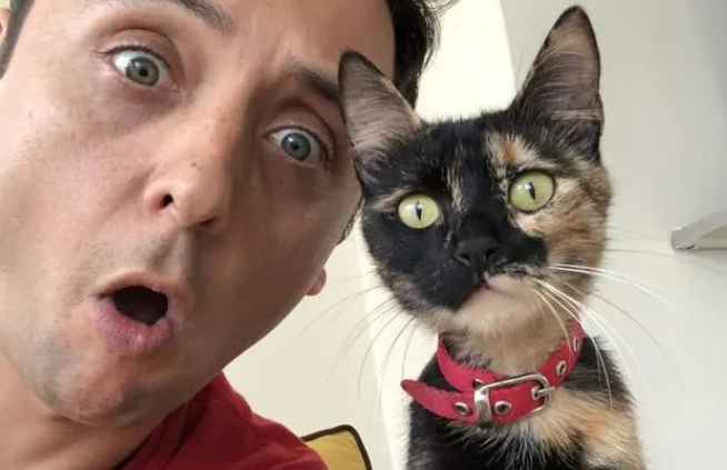 猫咪真的能听懂人话吗?看看猫咪与人类的神秘沟通 猫咪真的能听懂人话吗?看看猫咪与人类的神秘沟通