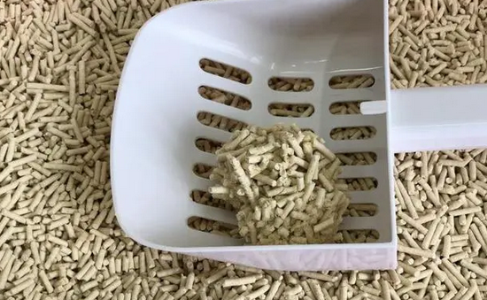 十大口碑最好的猫砂