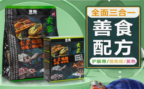 神阳宠物