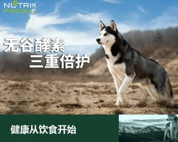 纯皓狗粮是哪国品牌，纯皓狗粮是哪国品牌生产的？